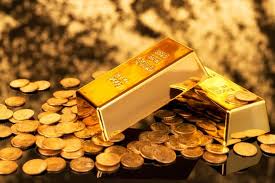Wealth Insights